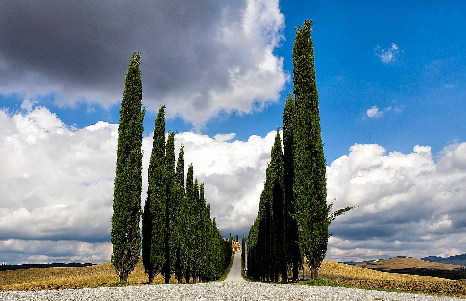 Heuvels van de Val d'Orcia