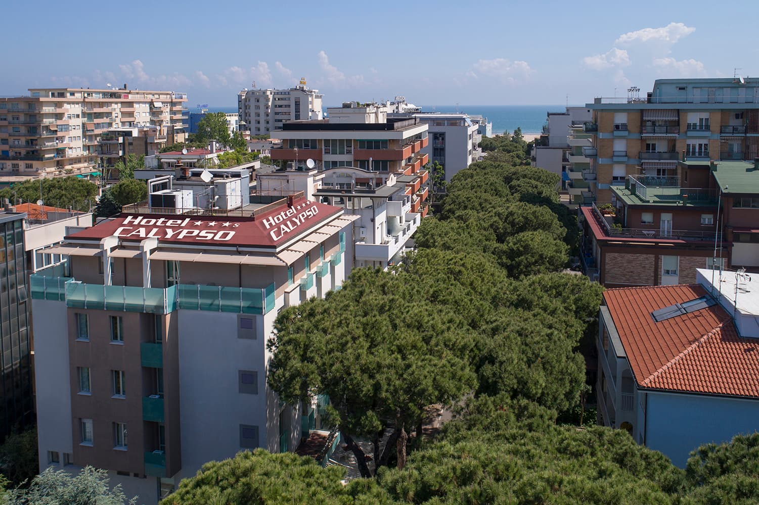 Calypso foto 1