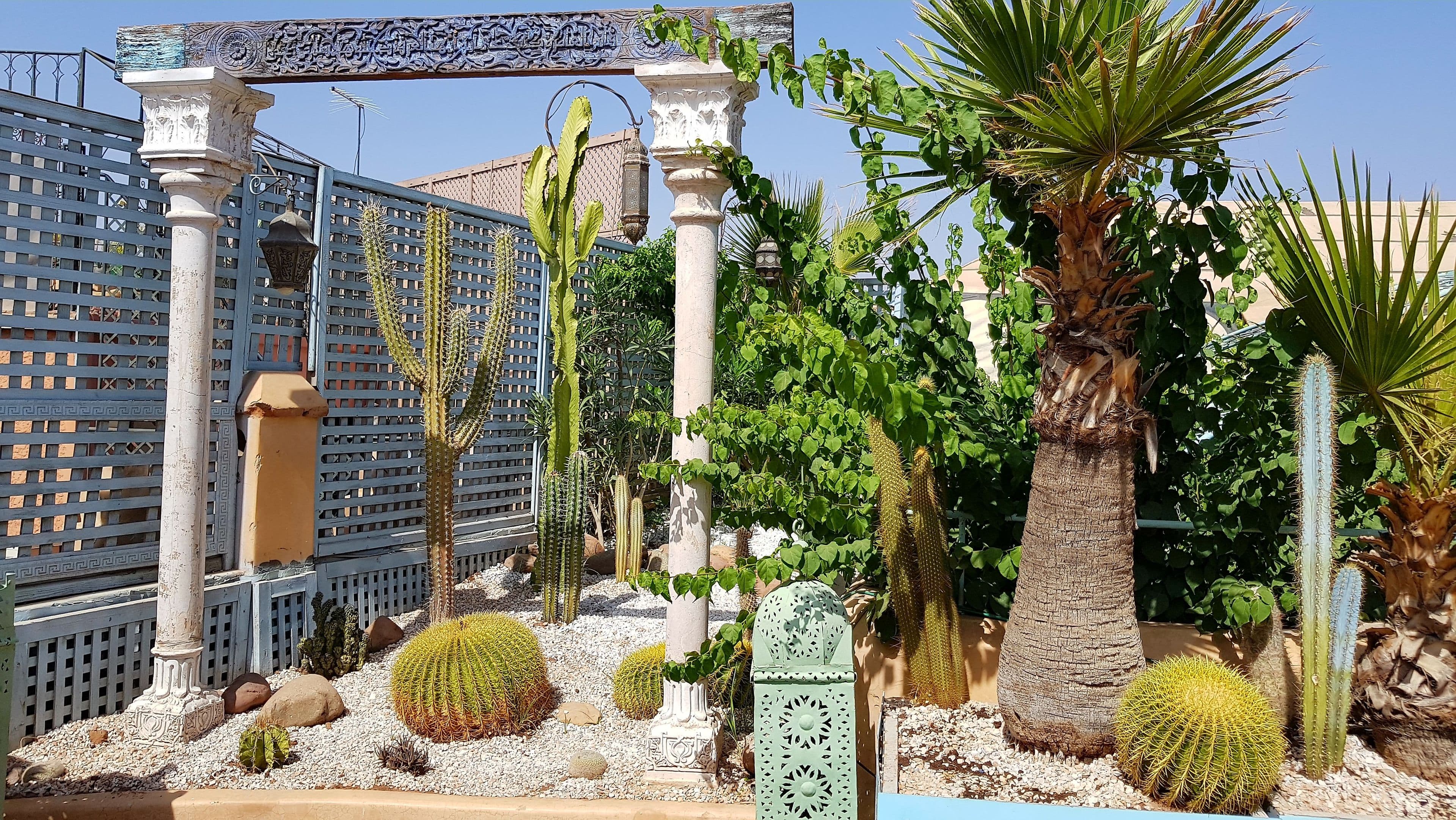 Riad Armelle foto 3