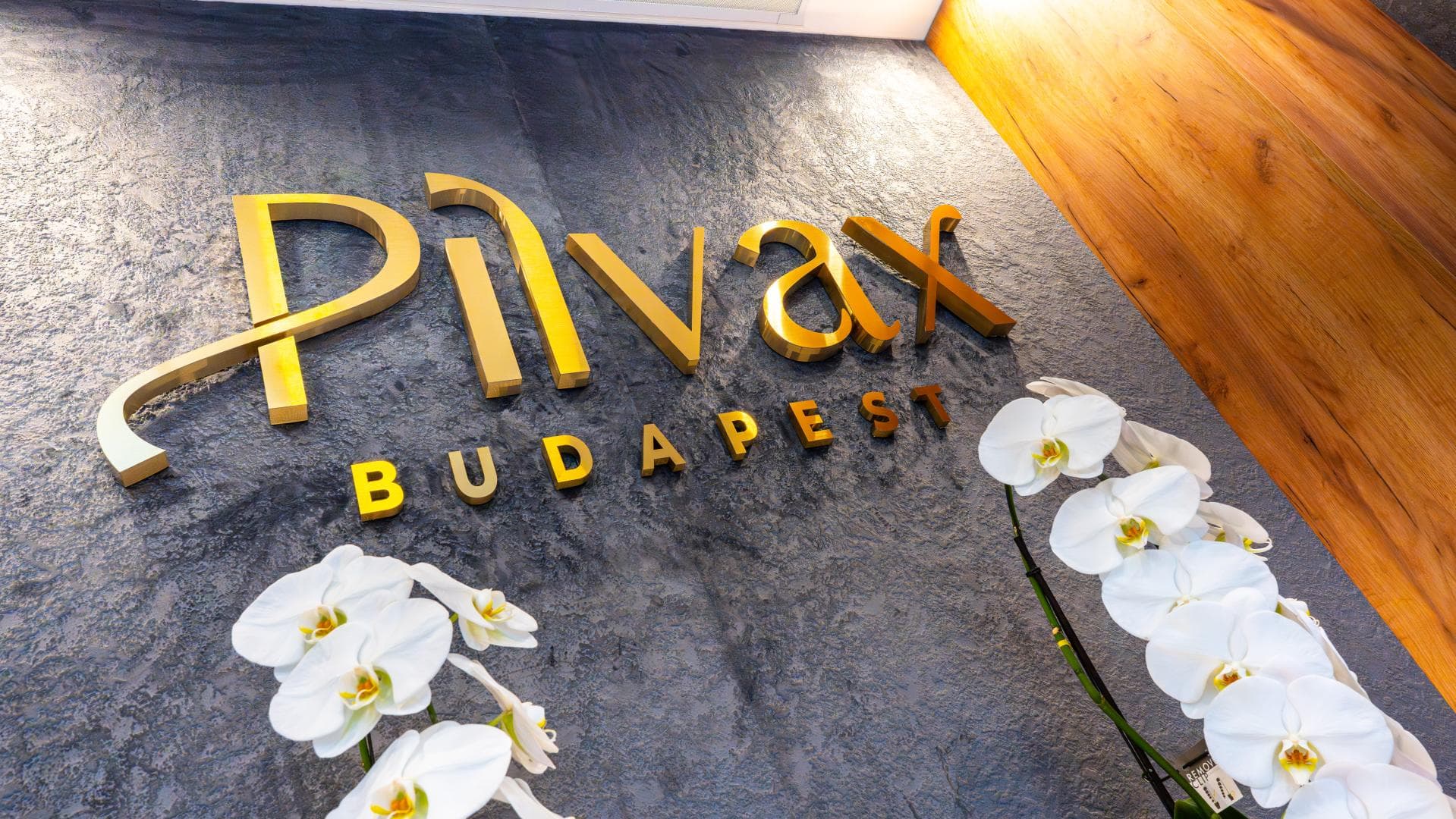 City Hotel Pilvax foto 1