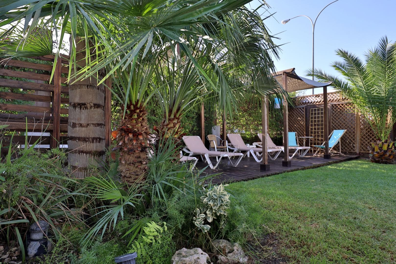 Oasis foto 1