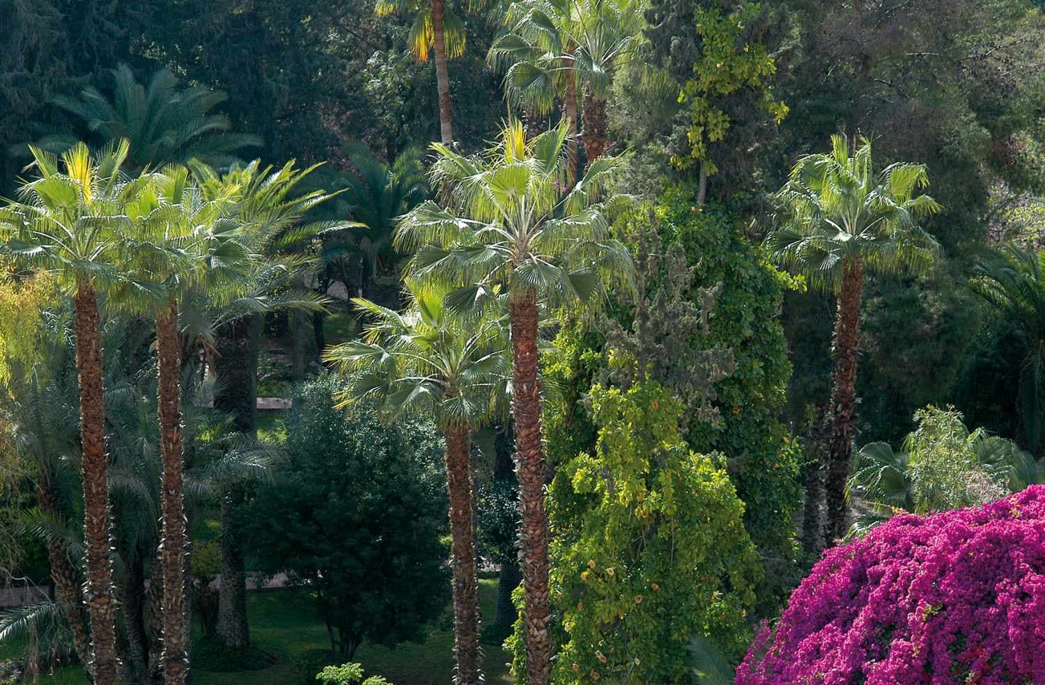 Es Saadi Marrakech Resort - The Palace foto 1