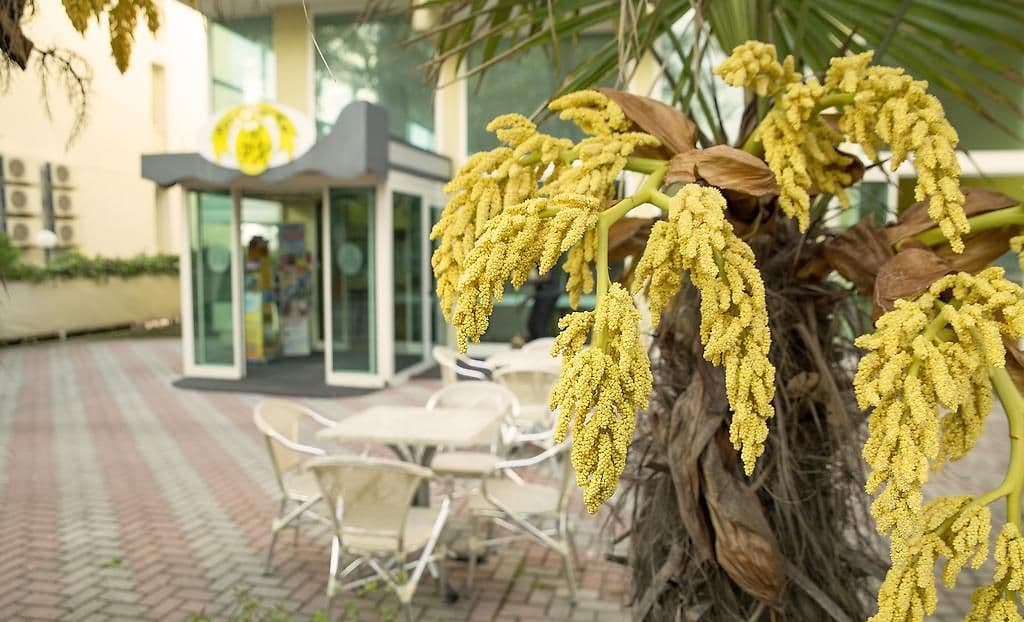 Remin Plaza Rimini photo 5