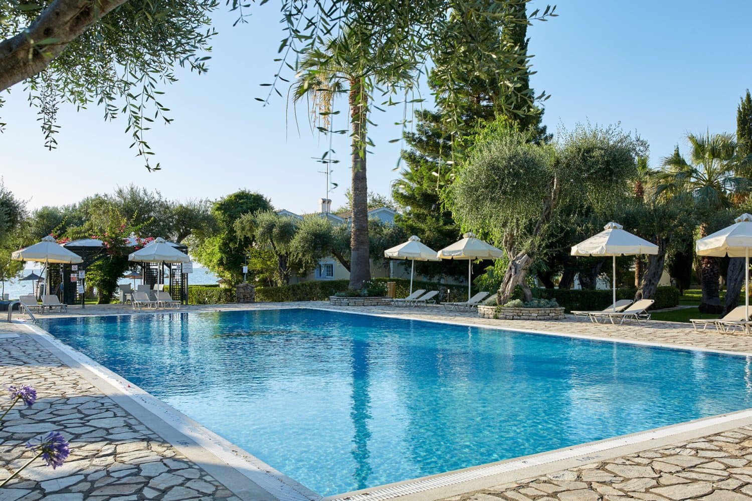Delfinia Hotels Corfu foto 1