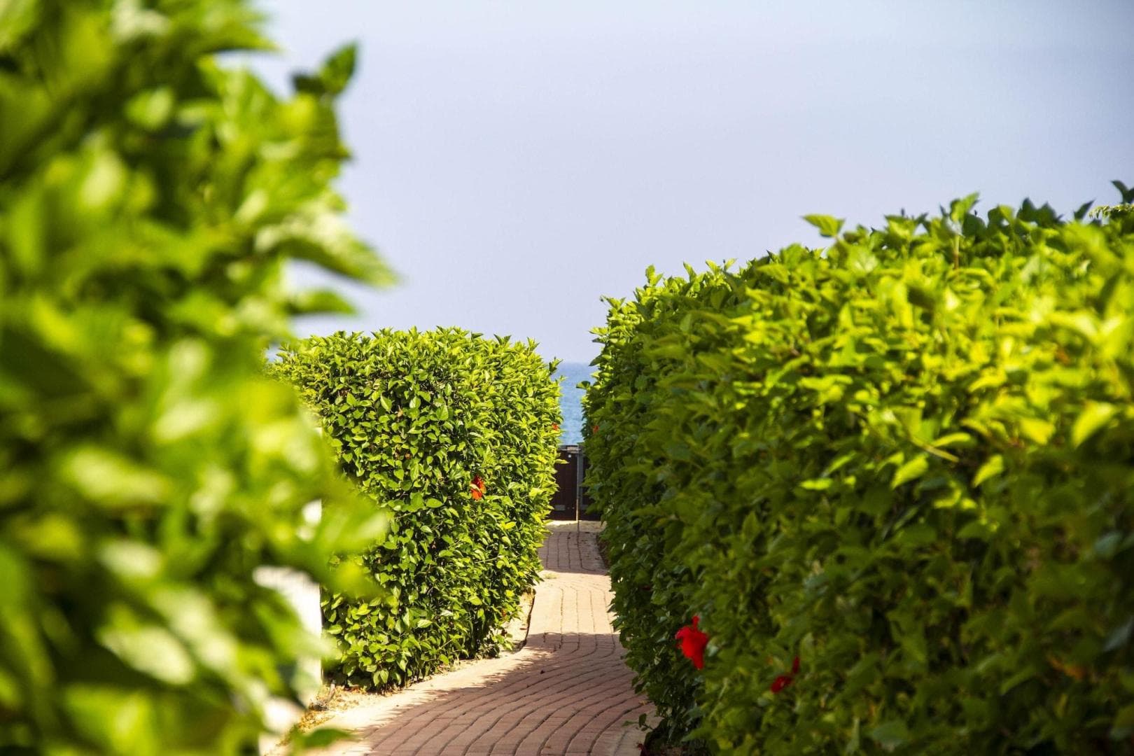 Atlantis Gardens foto 4