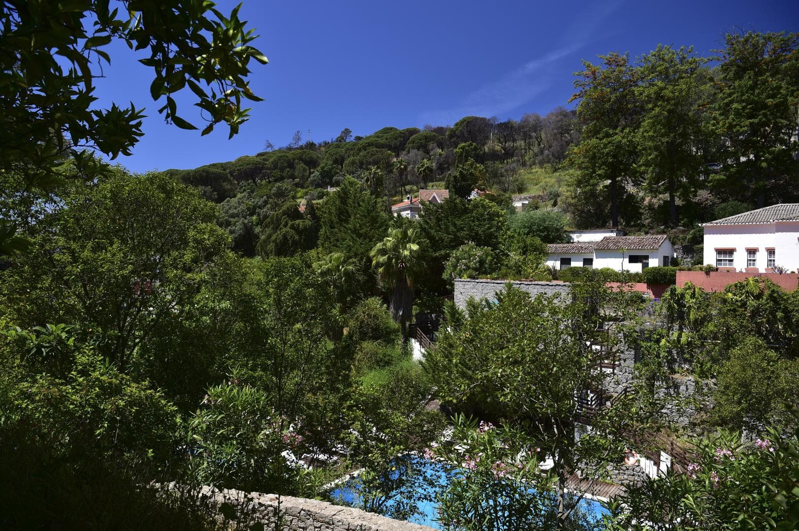 Pure Monchique Hotel - Villa Termal Spa Resort - by Unlock Hotels foto 1