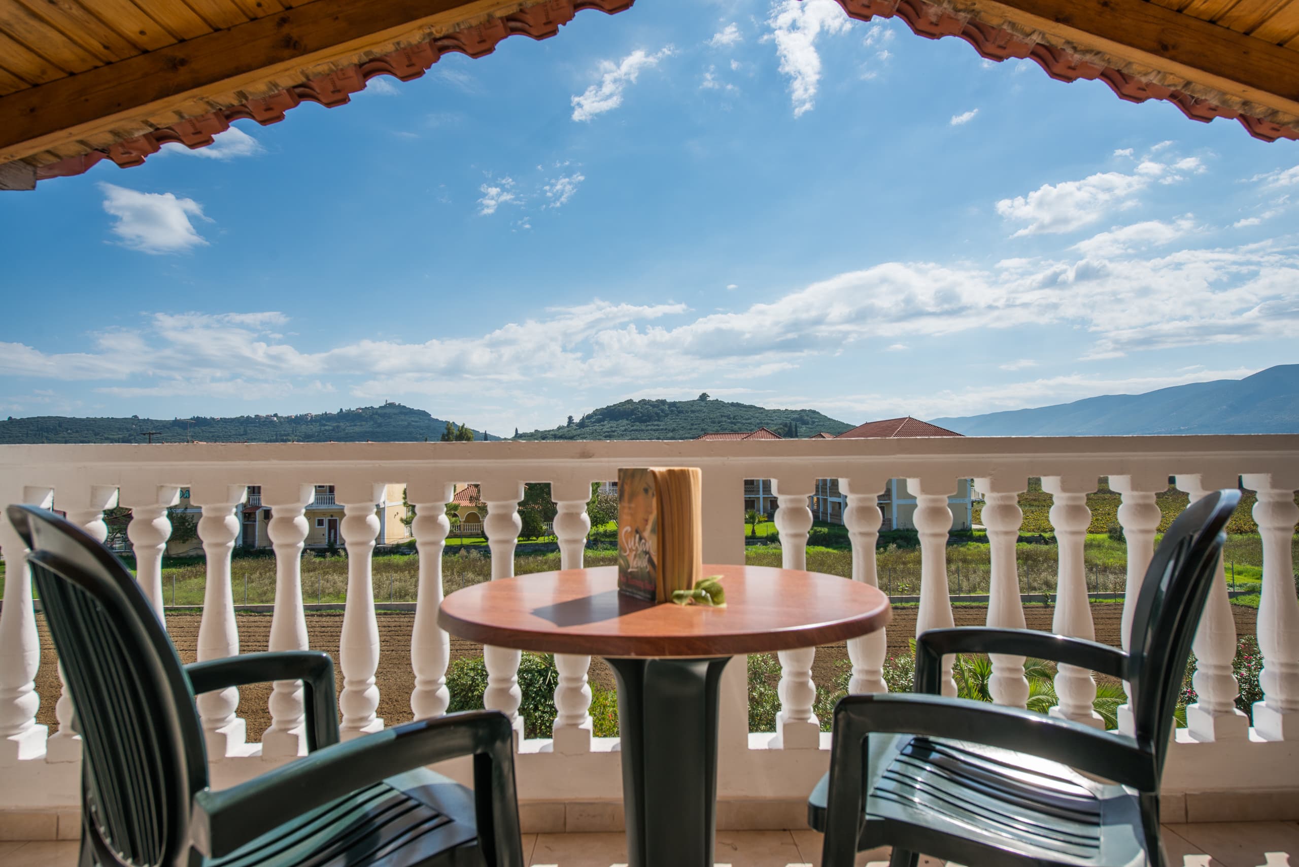 Hotel Plessas Palace foto 3