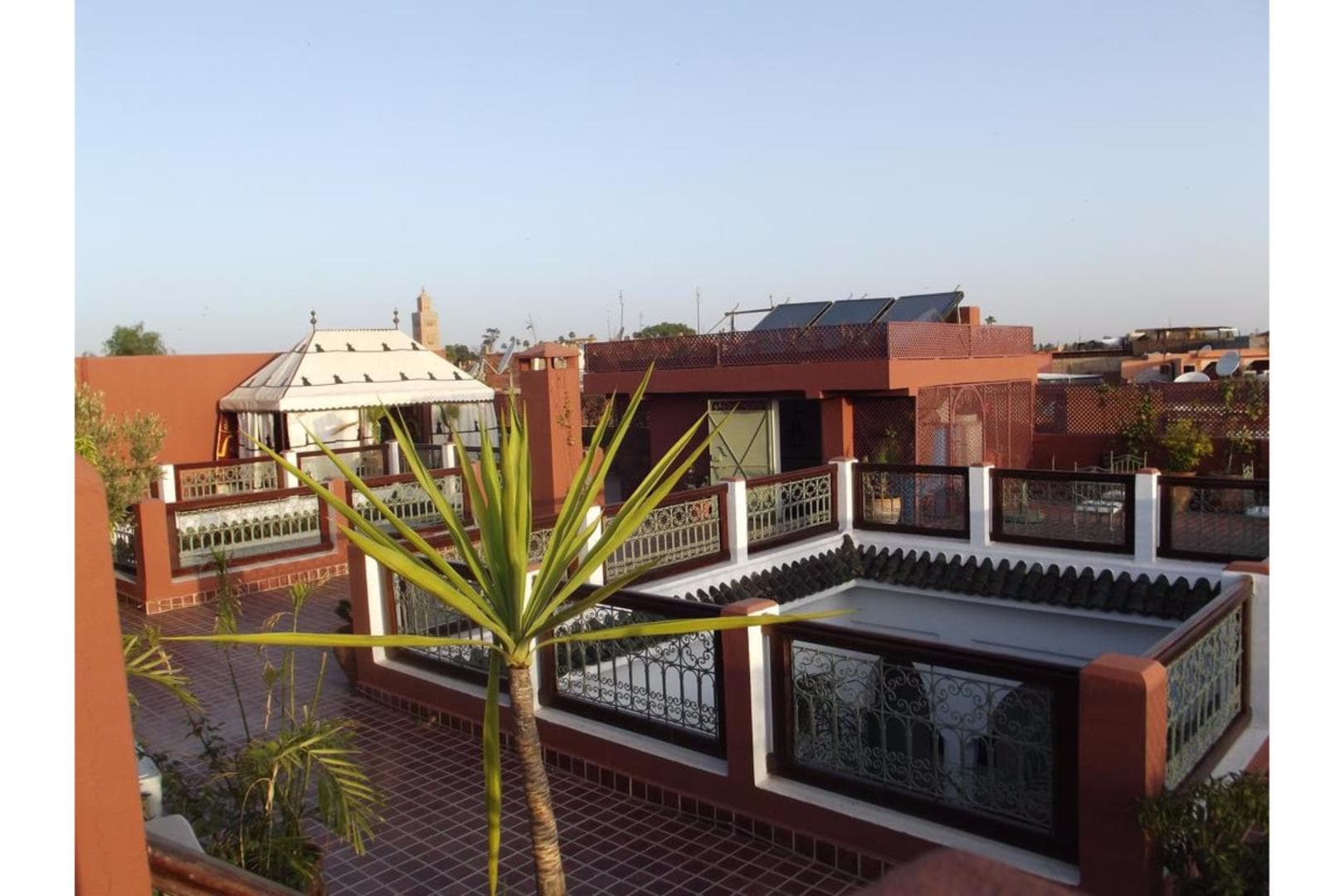 Riad Les Bougainvilliers foto 3