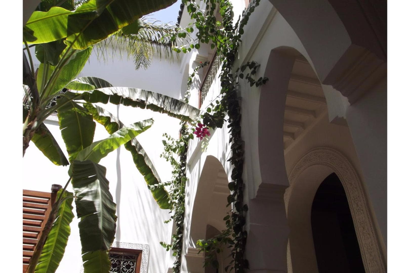 Riad Les Bougainvilliers foto 4