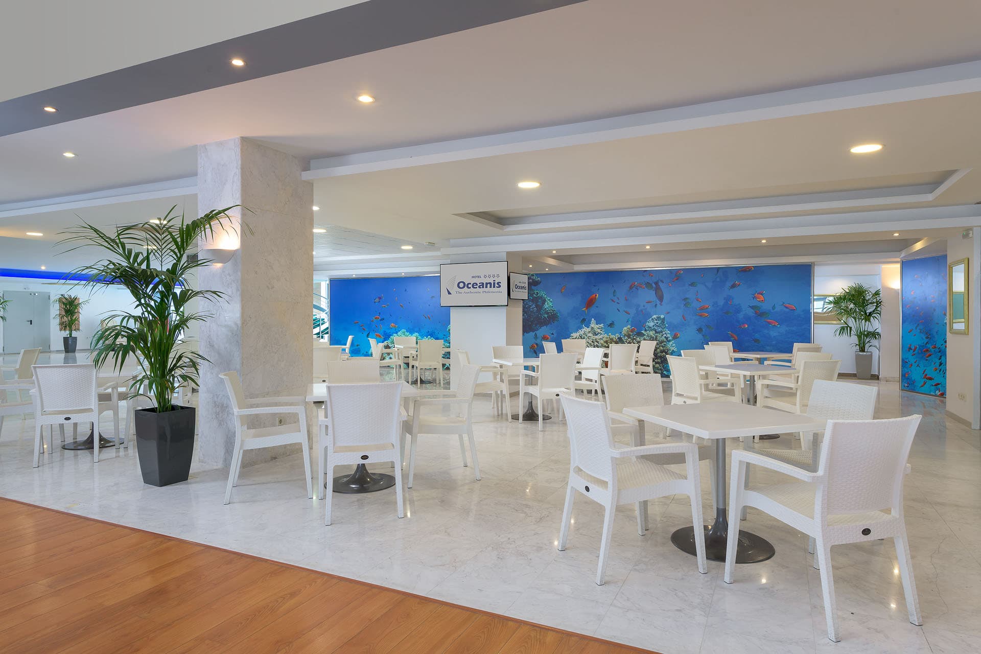 Oceanis Beach Hotel foto 3