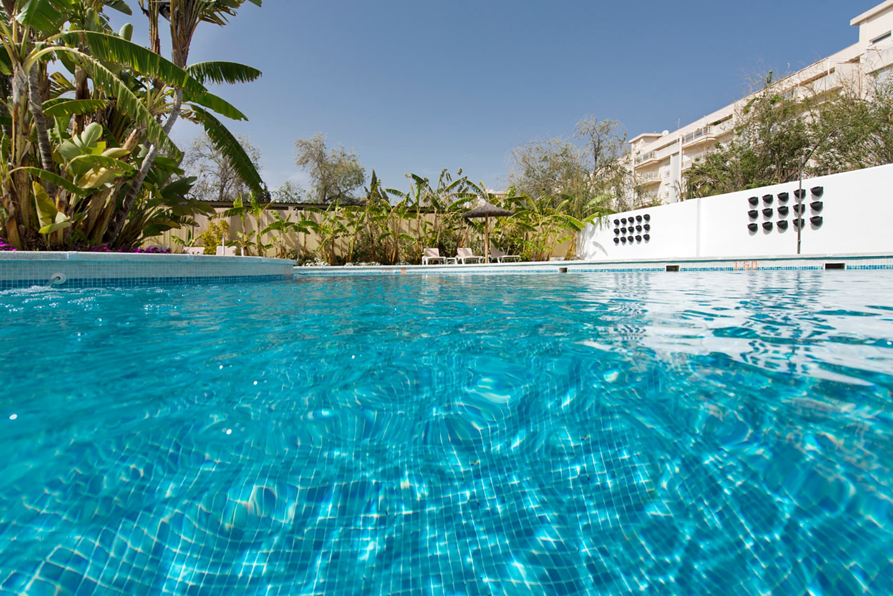 Elba Motril Beach & Business Hotel foto 3