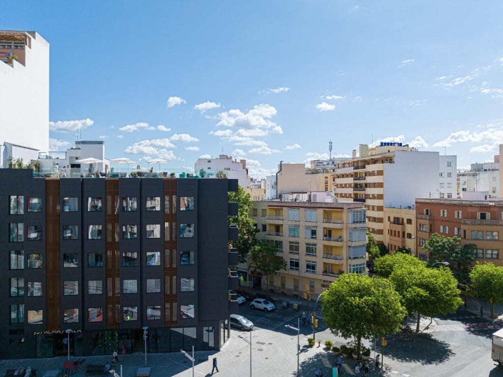 JS Palma Plaza foto 1