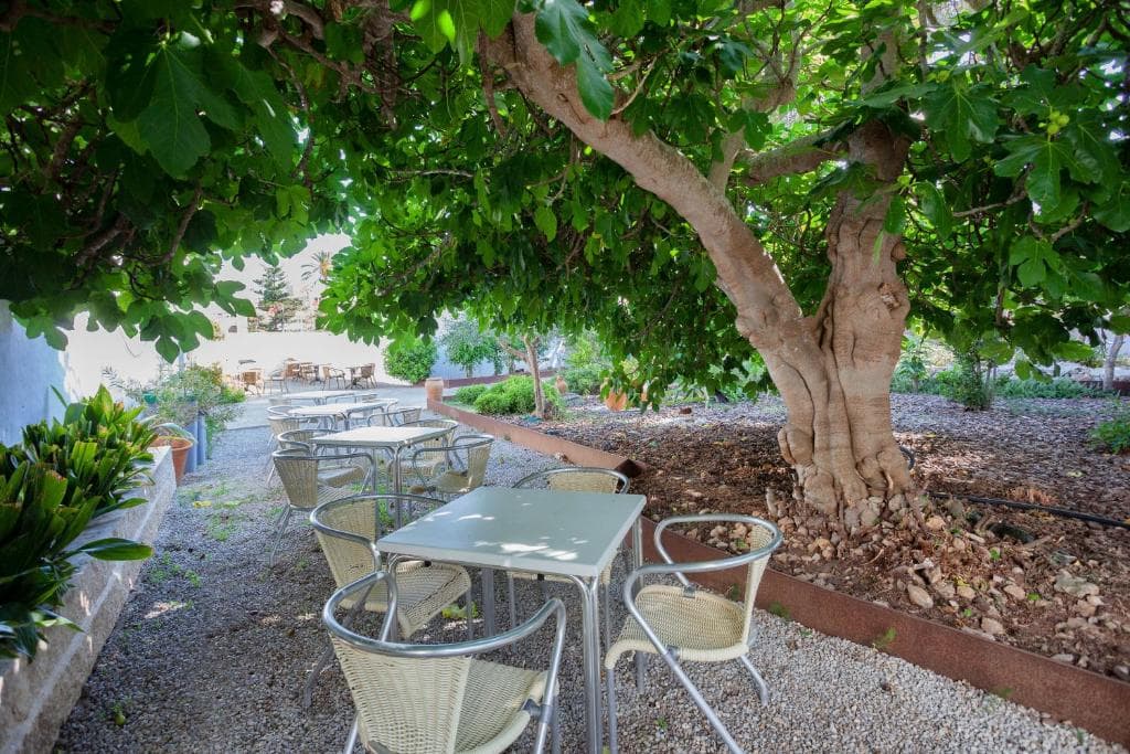 Petit Garden Hotel by Flacalco foto 4