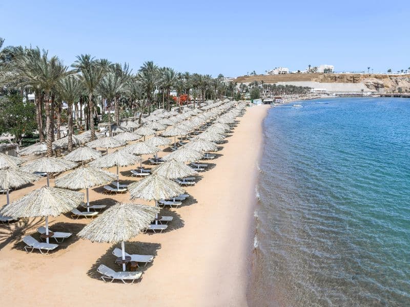 Iberotel Palace Sharm el Sheikh photo 5