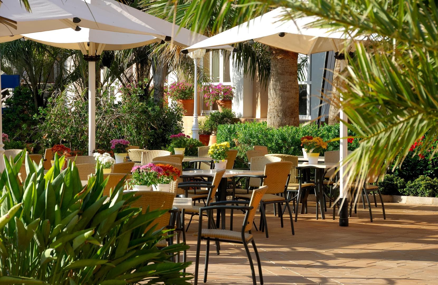 Oliva Nova Beach & Golf Hotel foto 4
