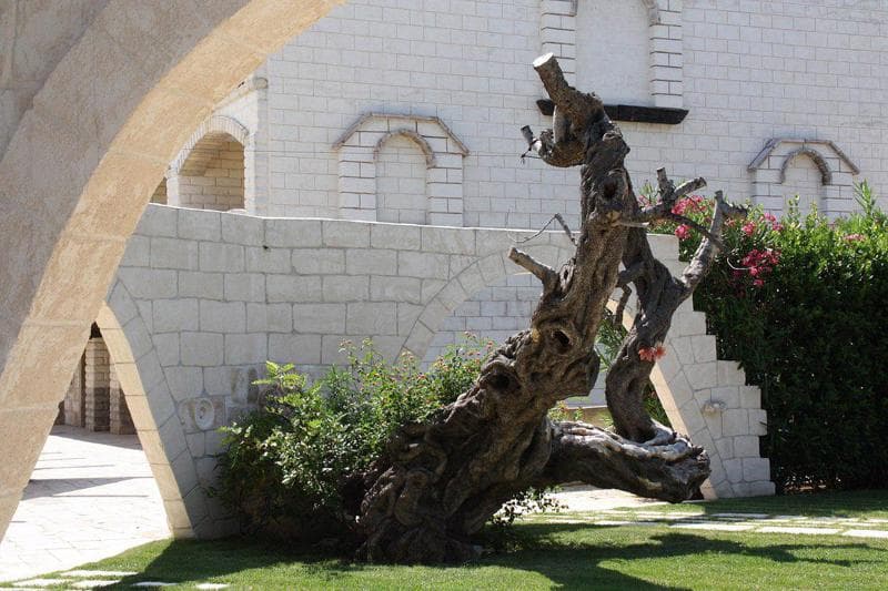 Una Hotel Regina Bari foto 4