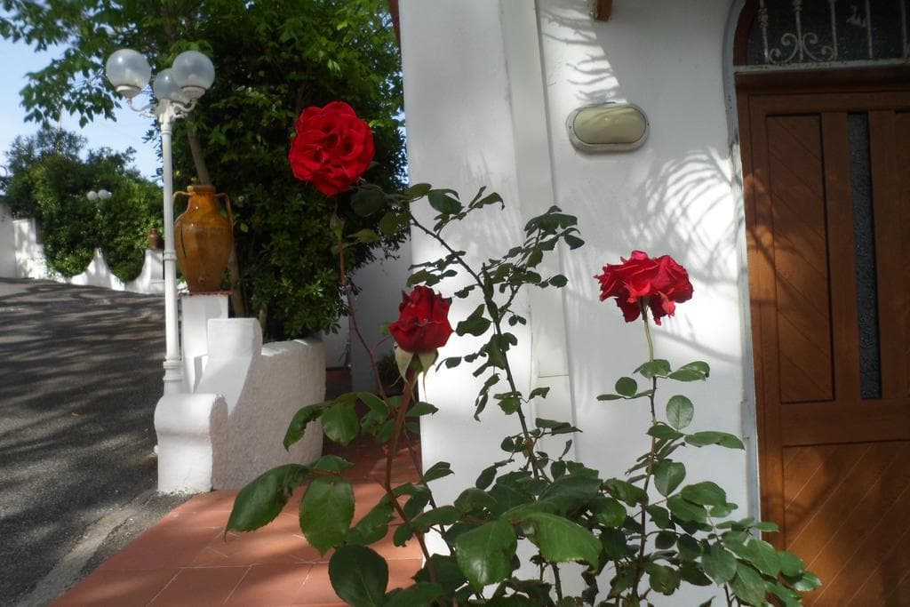 Hotel Park Calitto foto 4