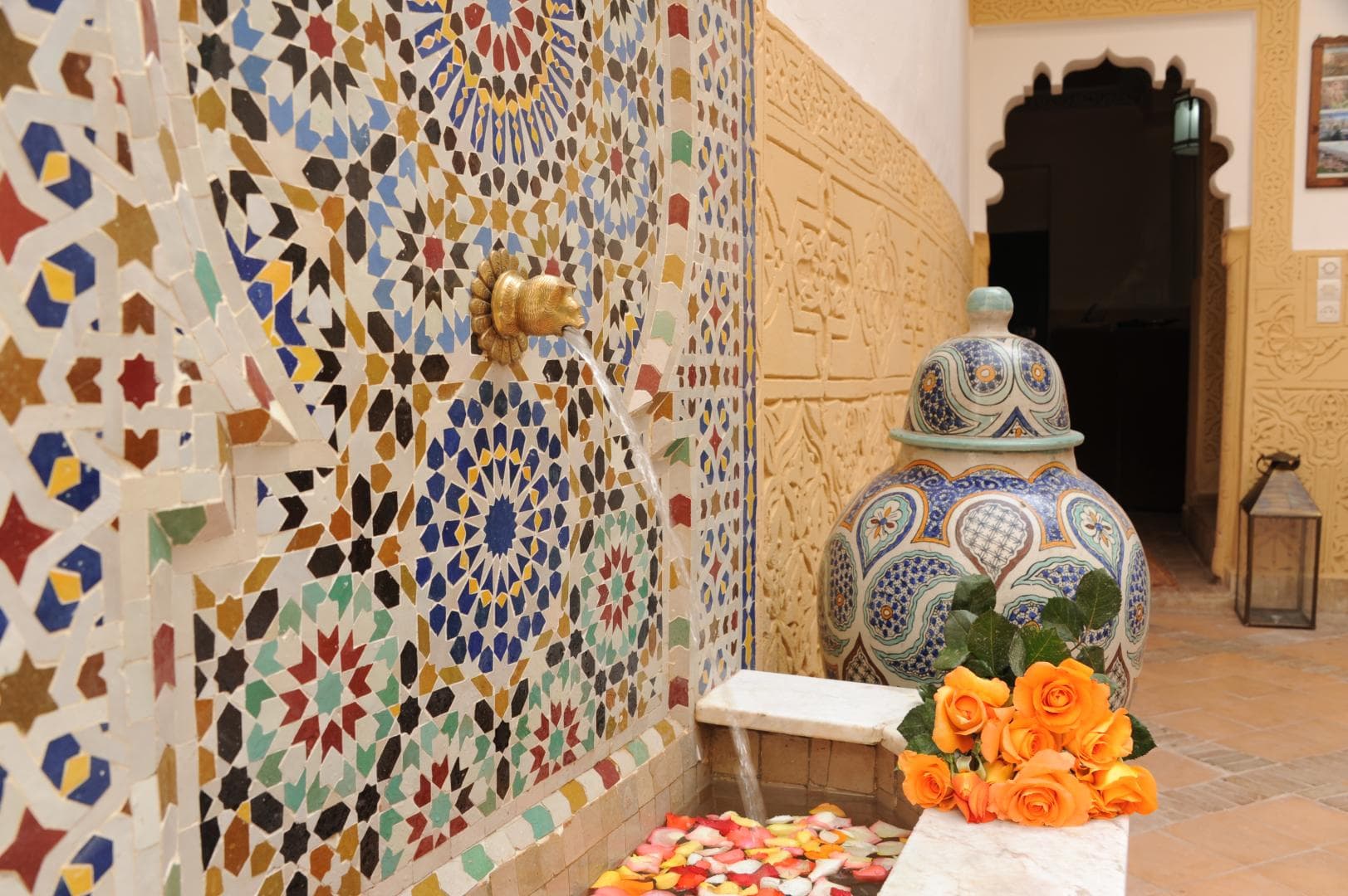 Riad Shaden foto 4