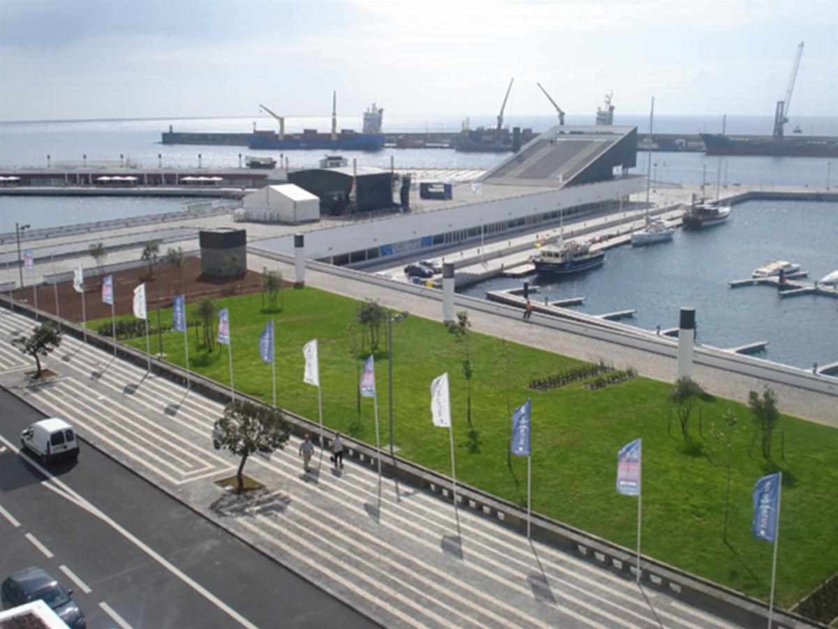 Gaivota foto 1