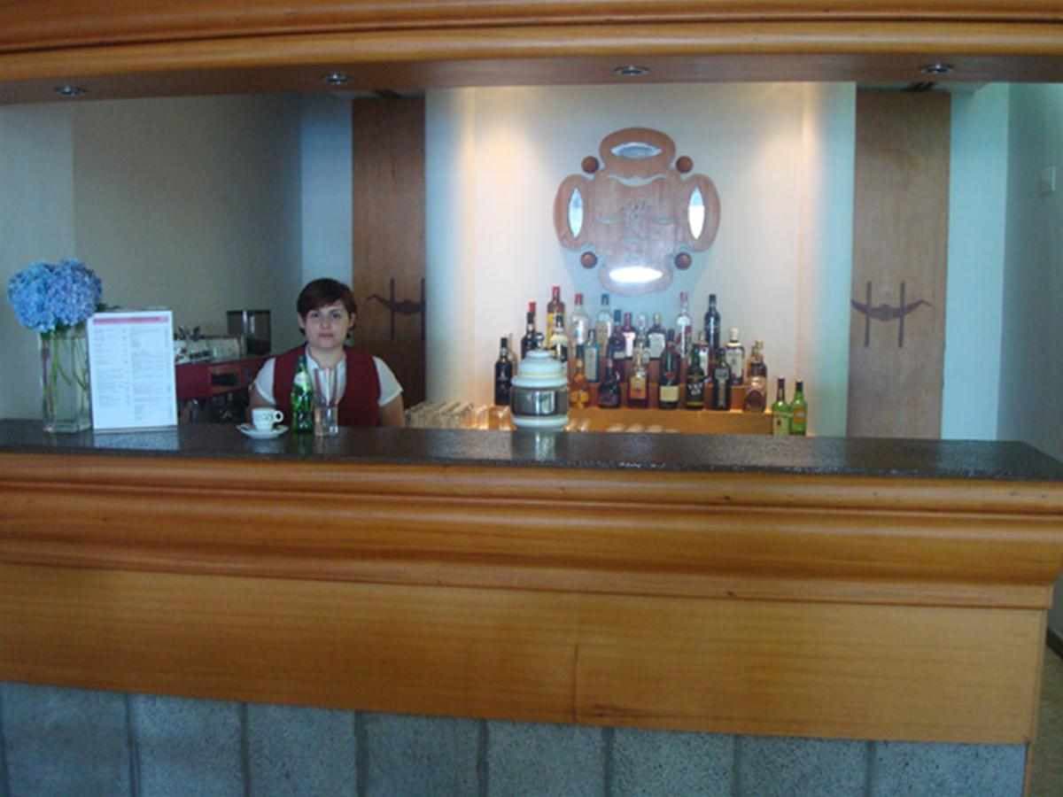 Gaivota foto 3