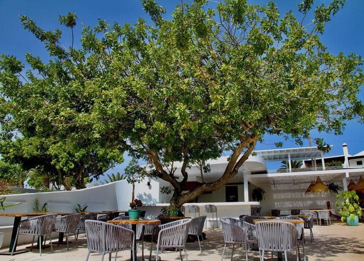 Casas Heddy Puerto del Carmen photo 5
