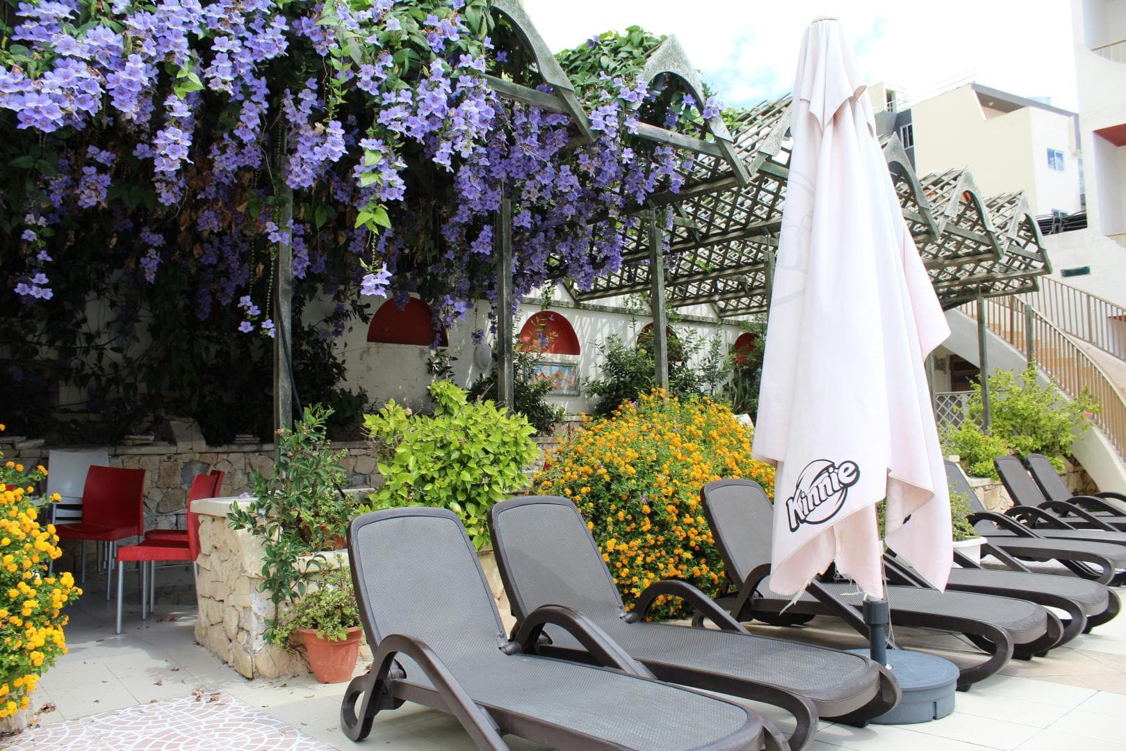 The San Anton Hotel foto 3