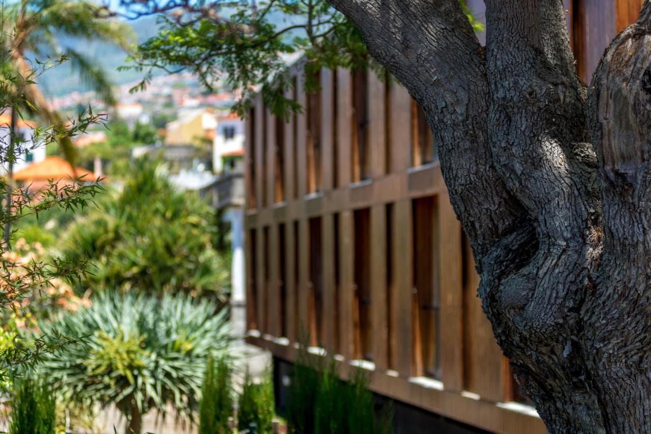 Arts In hotel Conde Carvalhal Funchal photo 5