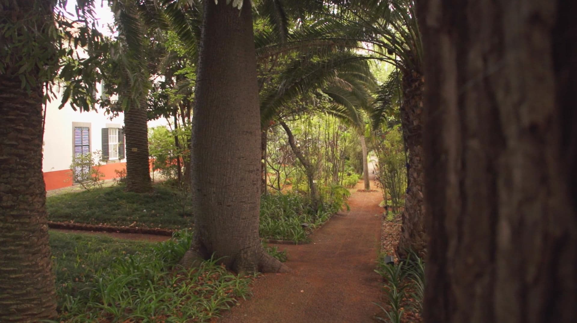 Quinta da Bela Vista Funchal photo 5
