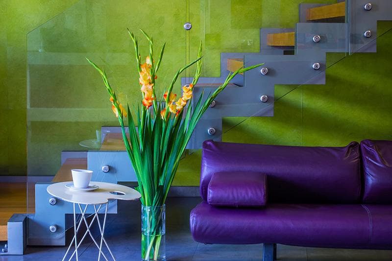 Novus City Hotel Athene photo 5
