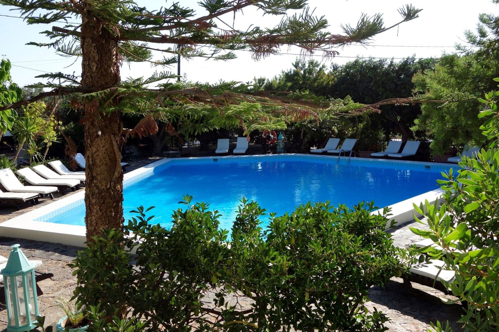 Cretan Village Hotel foto 1