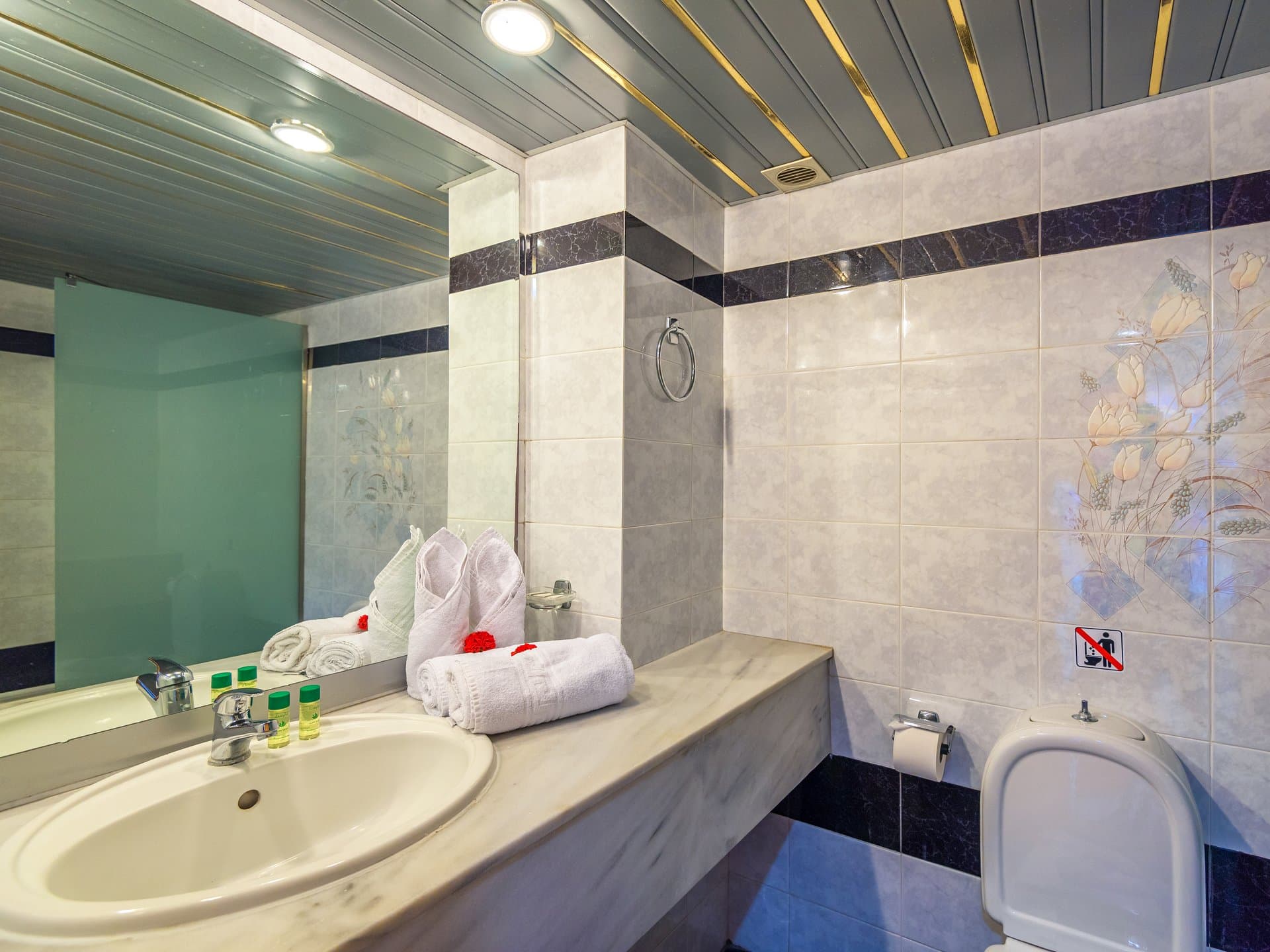 Themis Beach Hotel foto 4
