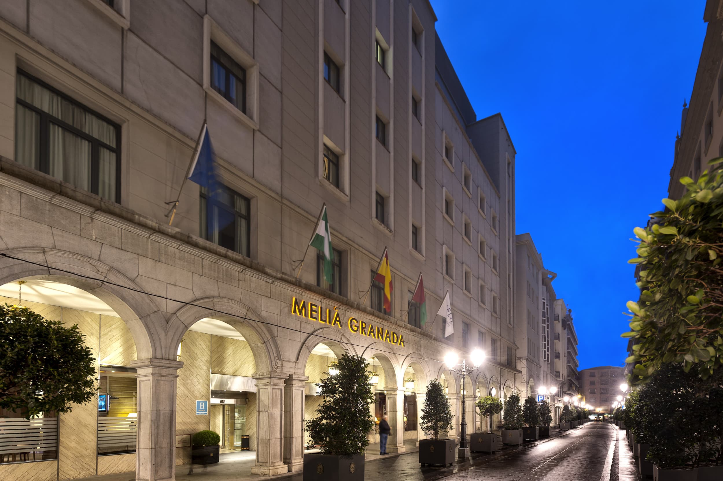 Meliá Granada foto 1