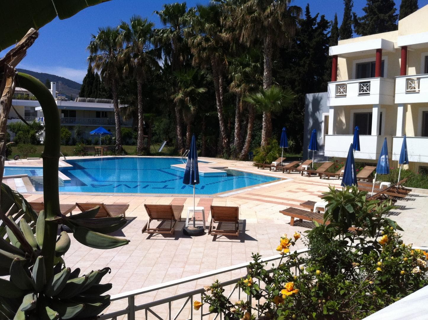 Olga's Paradise Hotel Apartments foto 1