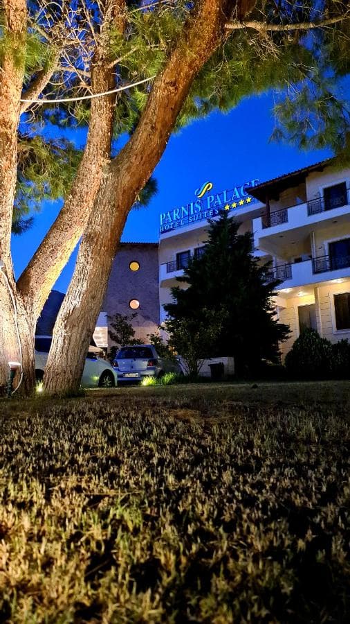 Parnis Palace Hotel foto 1