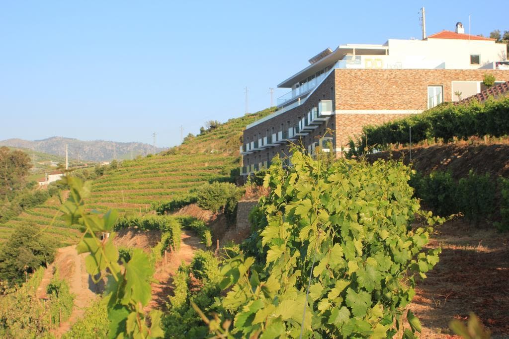 Delfim Douro foto 4