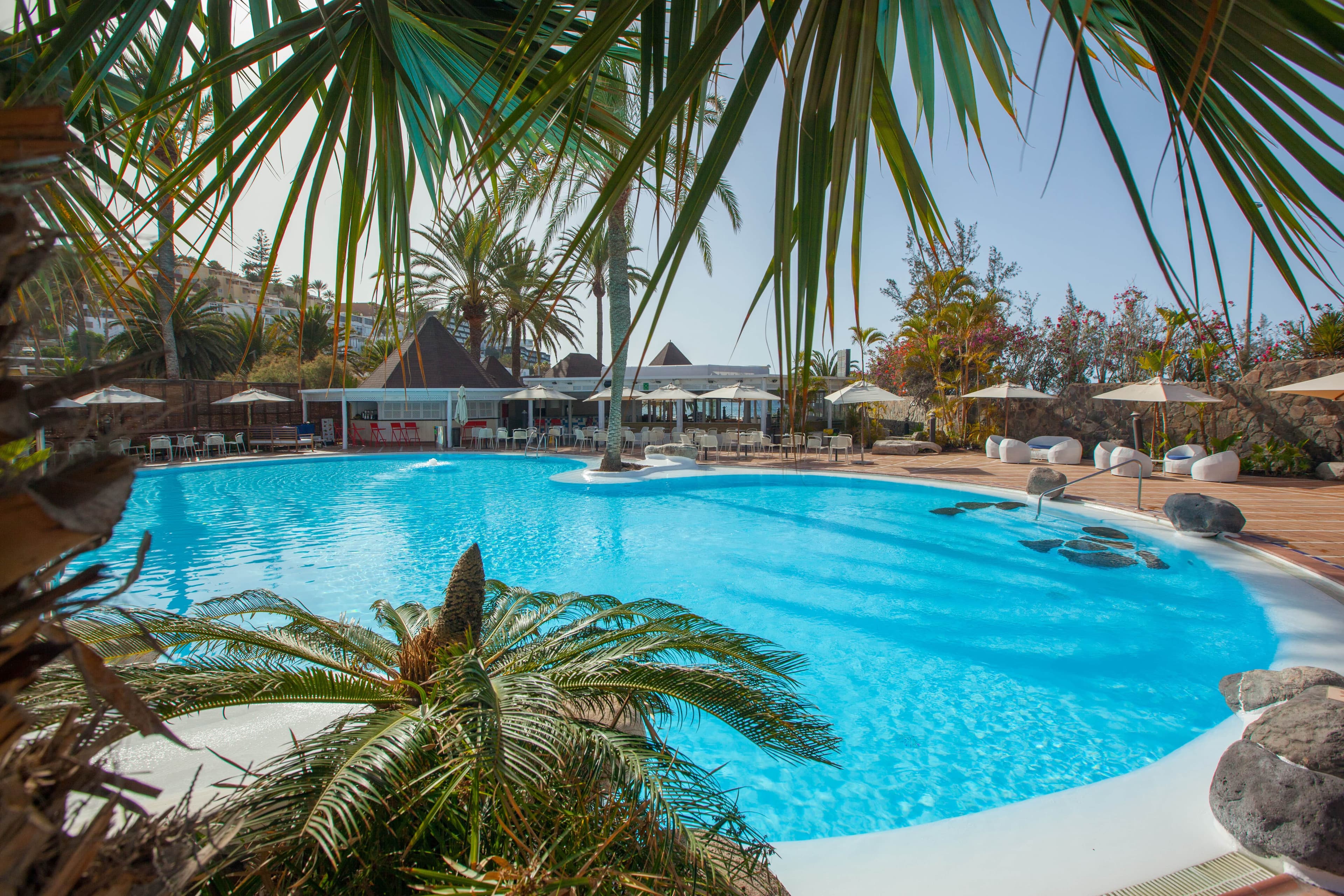 Corallium Beach by Lopesan Hotels foto 1