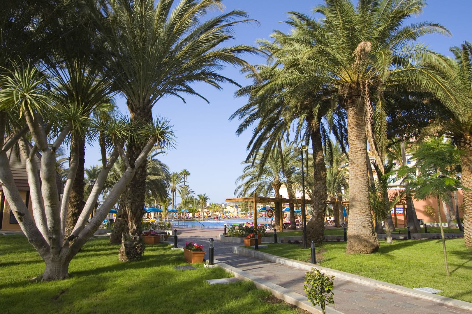 Grupotel Orquidea San Bartolomé de Tirajana photo 5