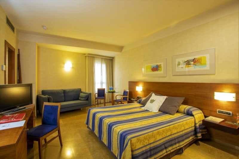 Sercotel Palacio de Tudemir foto 4