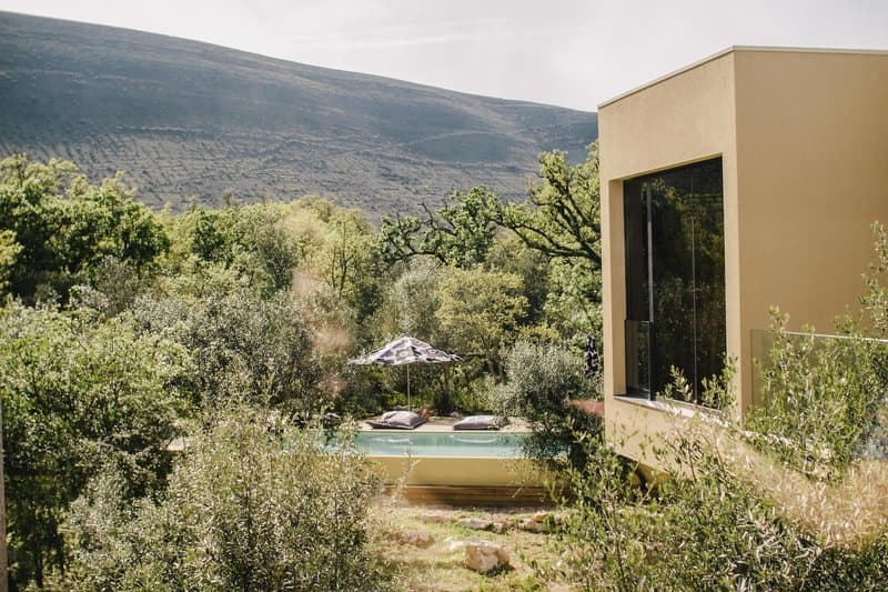 Cooking and Nature Emotional Hotel foto 1
