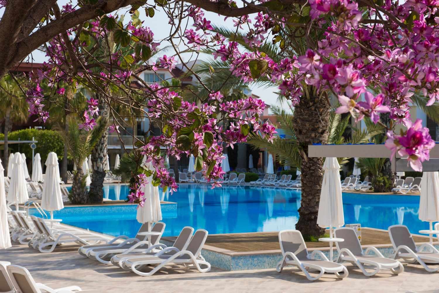 Barut B Suites foto 3