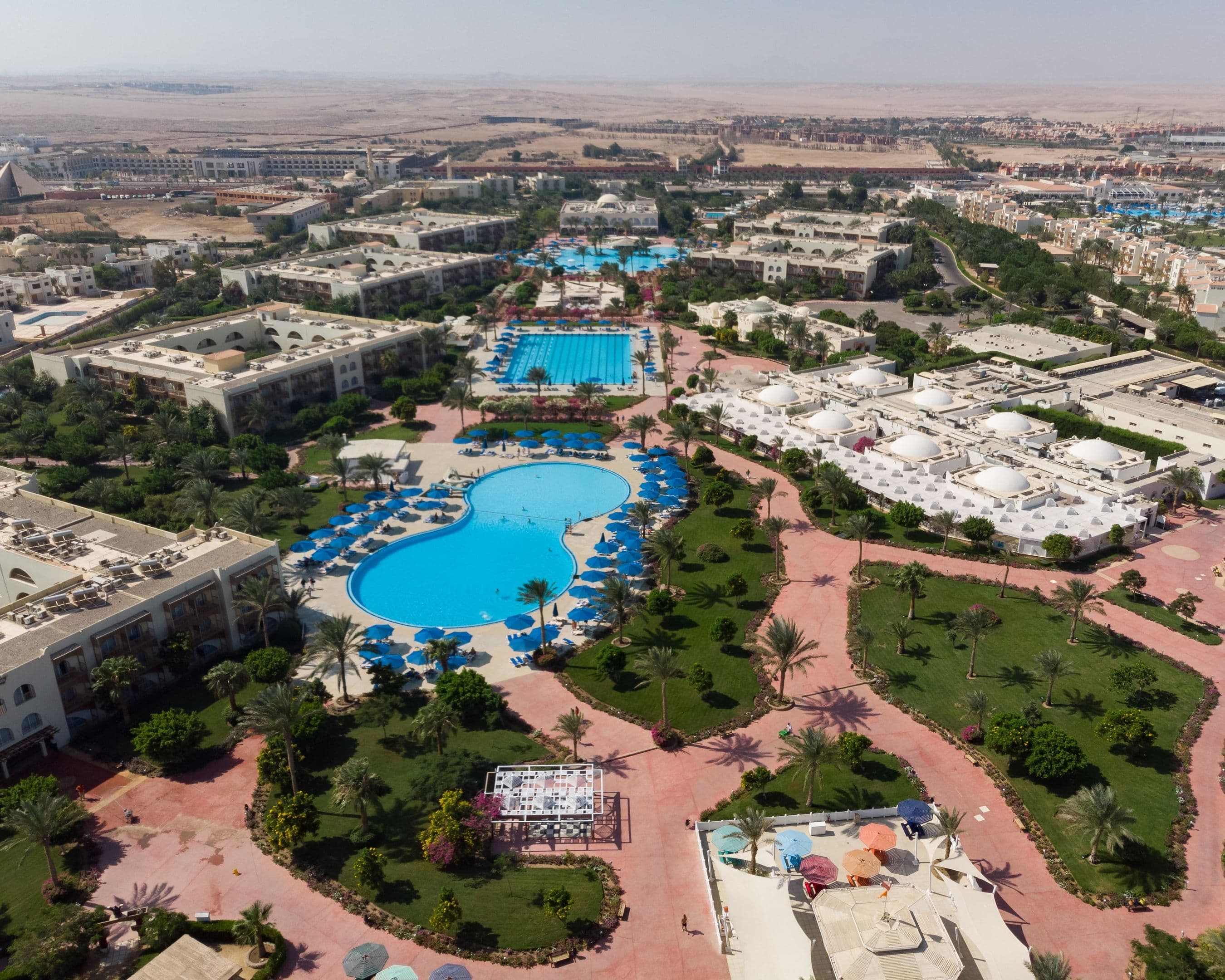 Desert Rose