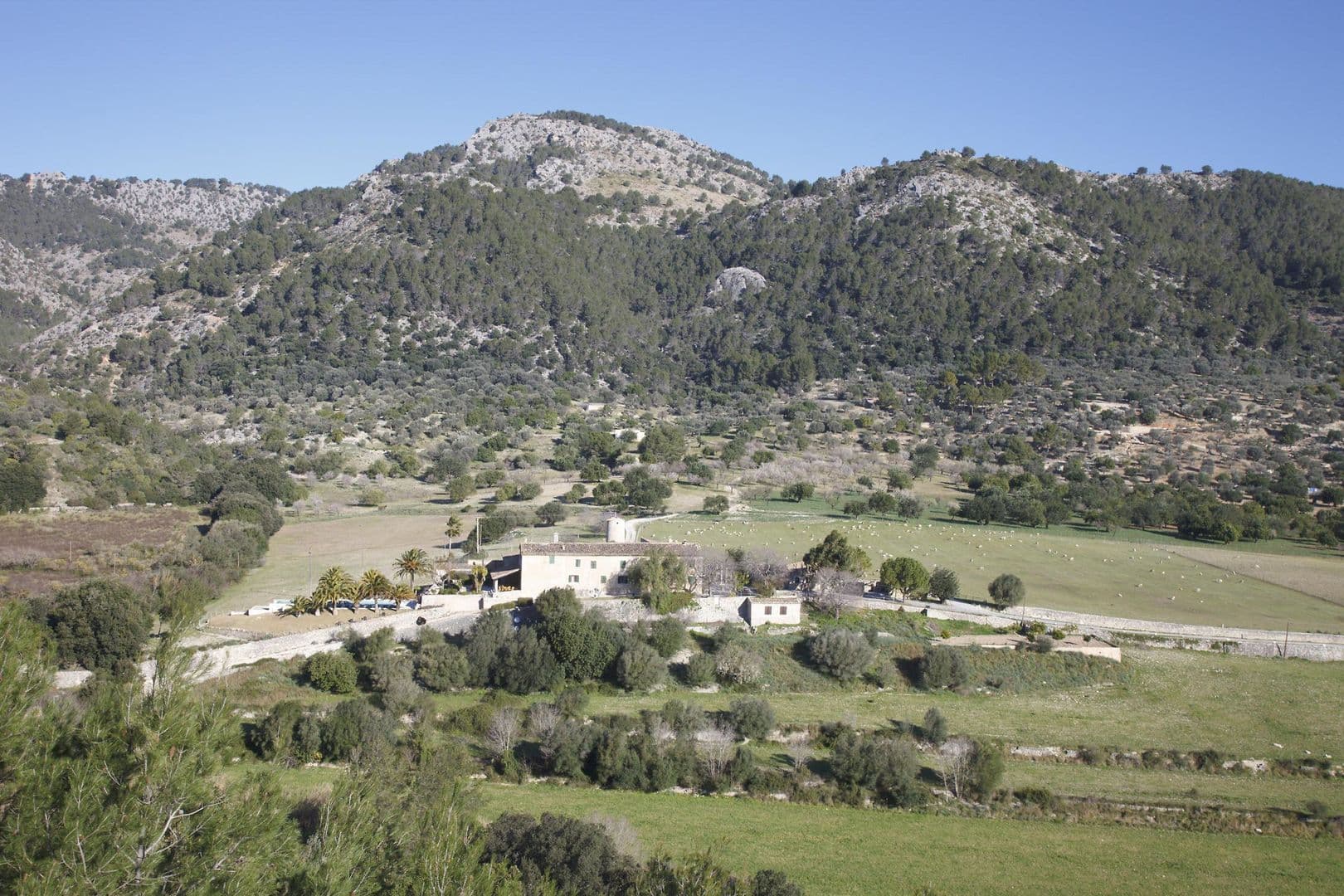 Finca Monnàber Vell Campanet photo 5