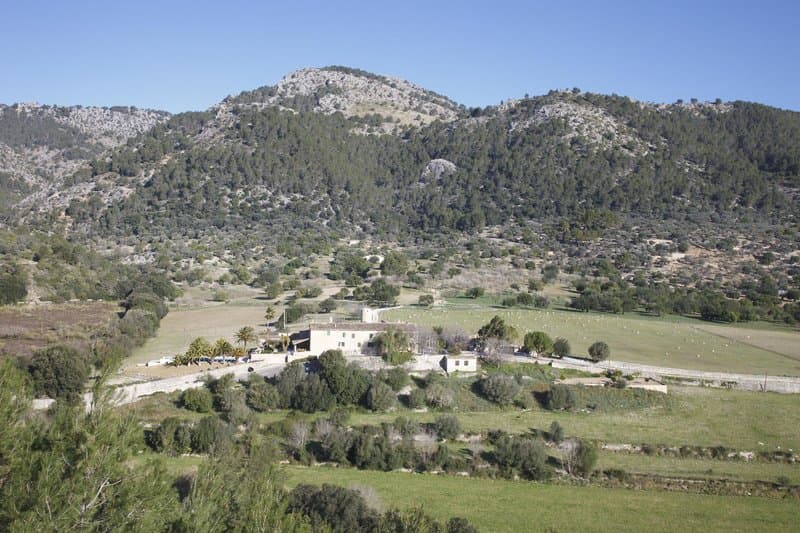 Finca Monnàber Vell foto 4