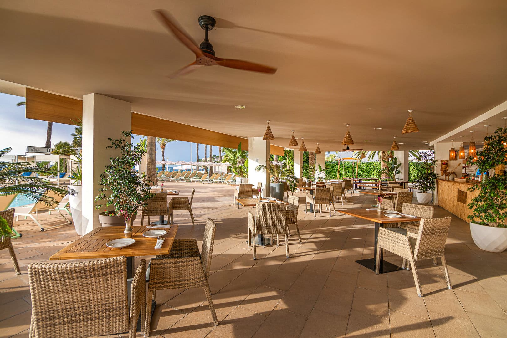 Sol House The Studio - Calvia Beach foto 3