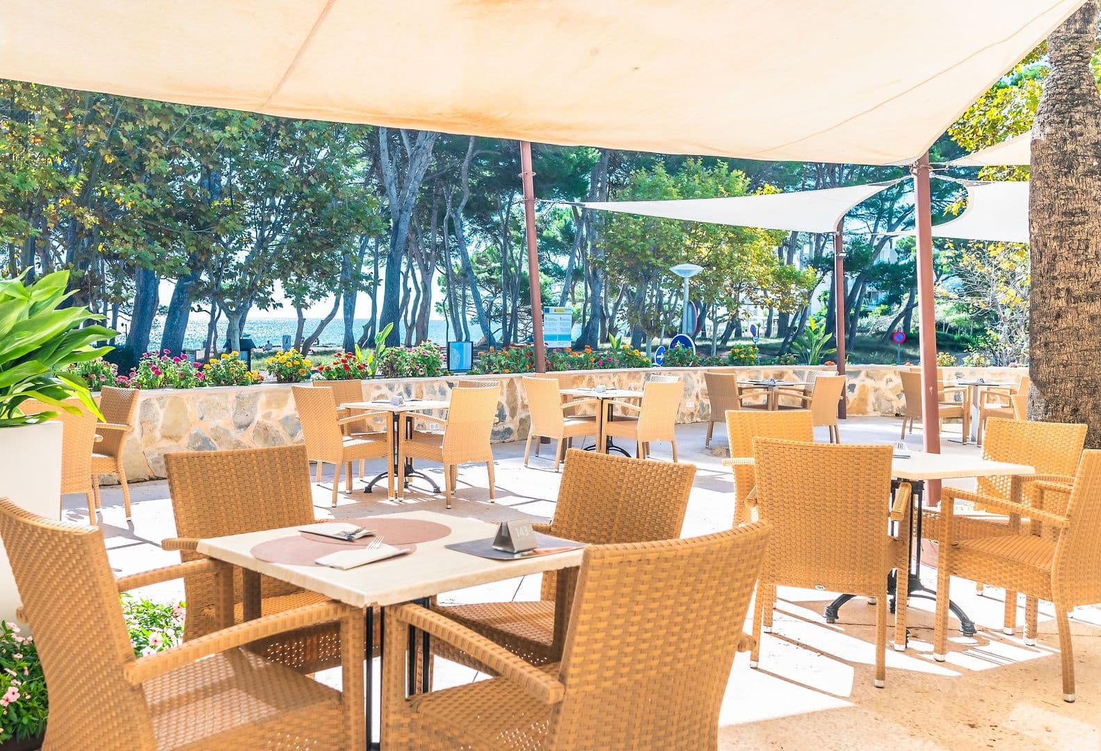 Canyamel Park Hotel & Spa Canyamel photo 5
