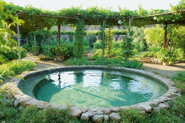 Domus Australia Rome photo 5