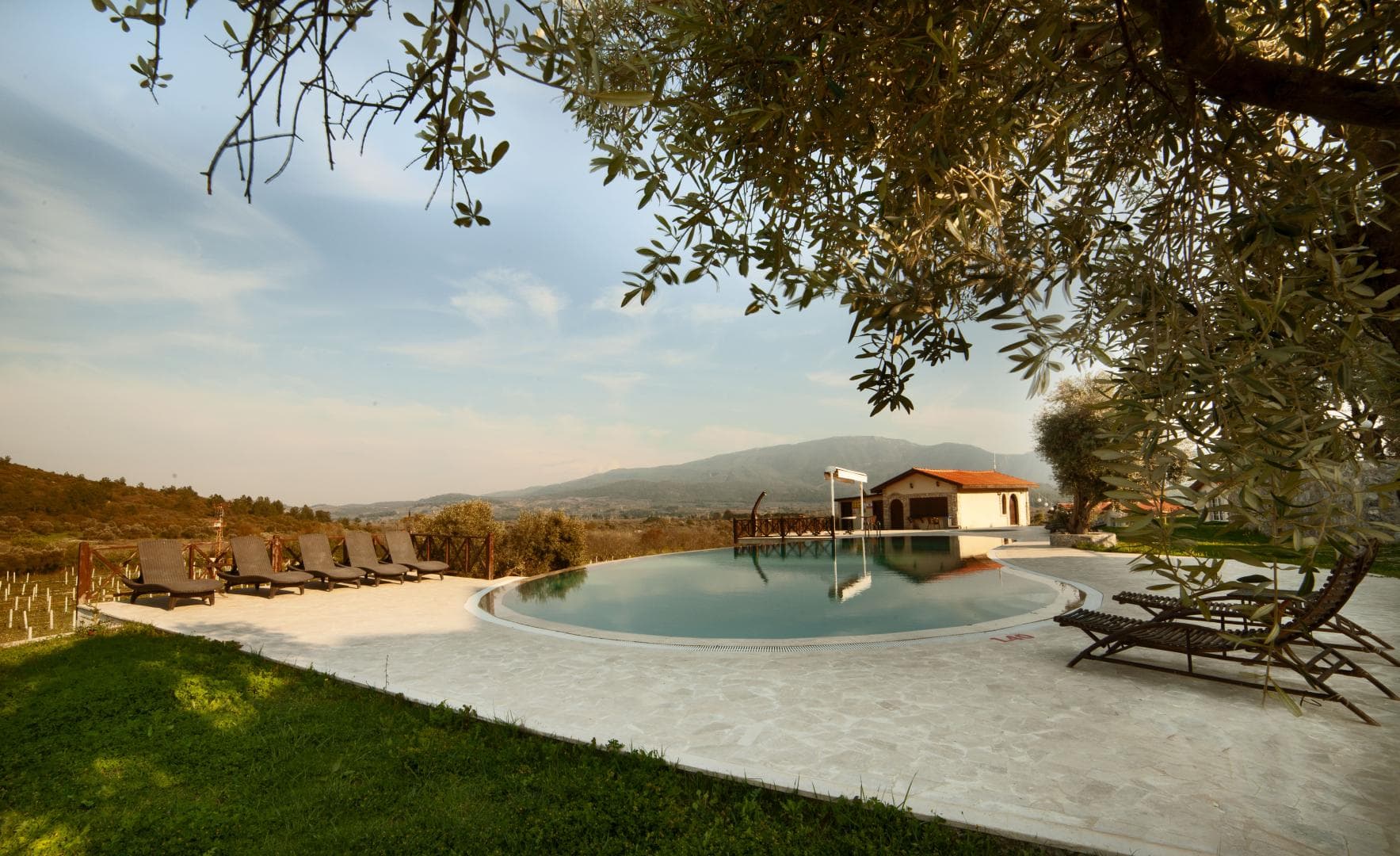 Vinifera Vineyards Hotel foto 1