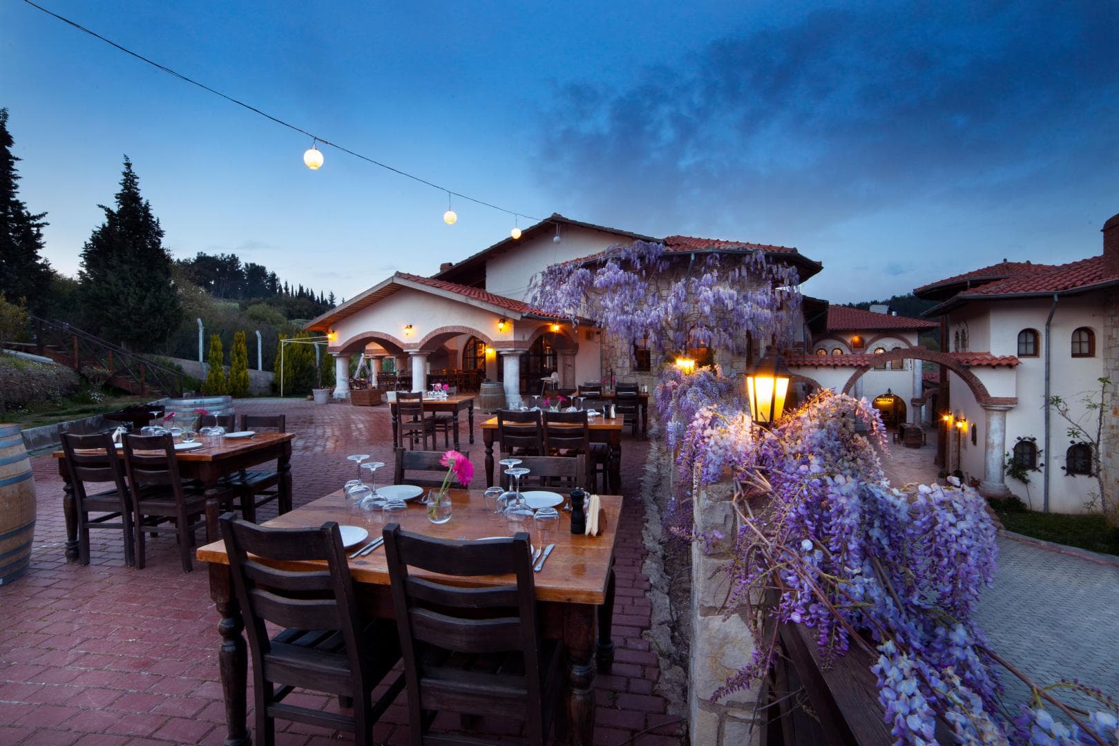 Vinifera Vineyards Hotel foto 3