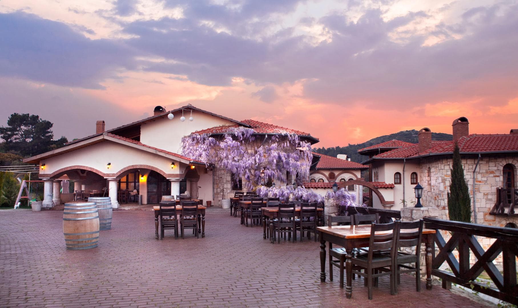 Vinifera Vineyards Hotel foto 4