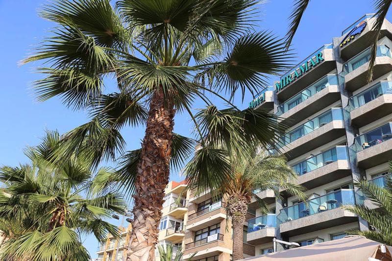 Miramar Lloret de Mar photo 5